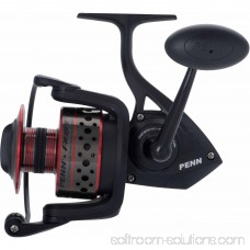 Penn Fierce II Spinning Fishing Reel 555132660
